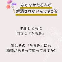 画像334