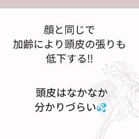 画像376