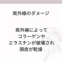 画像377