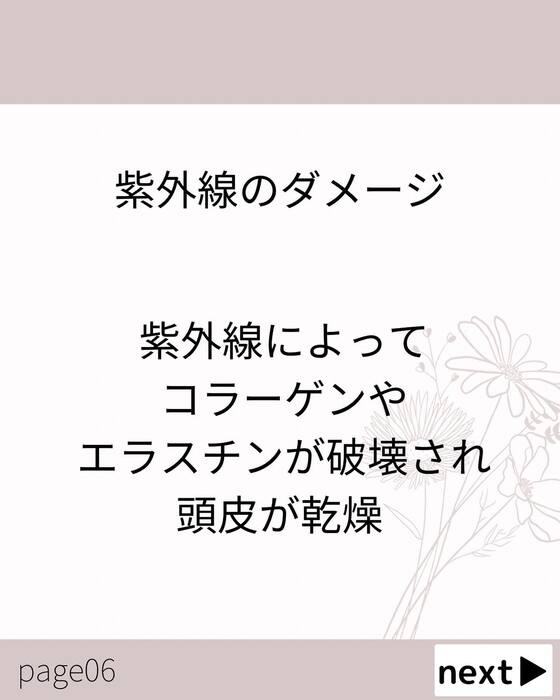 画像377