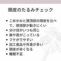 画像379
