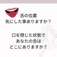 画像411