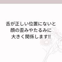 画像413