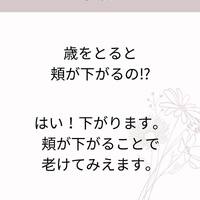 画像441