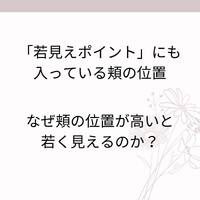 画像444