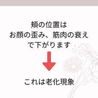 画像446