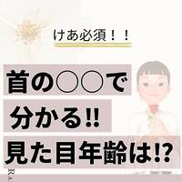 画像461