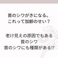 画像462
