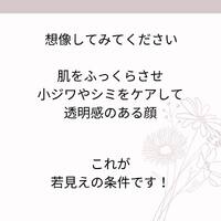 画像487