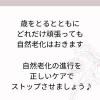 画像489
