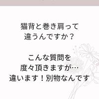 画像523