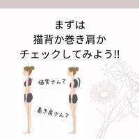 画像526