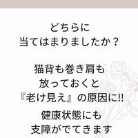 画像529