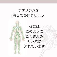 画像681
