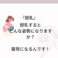 画像799