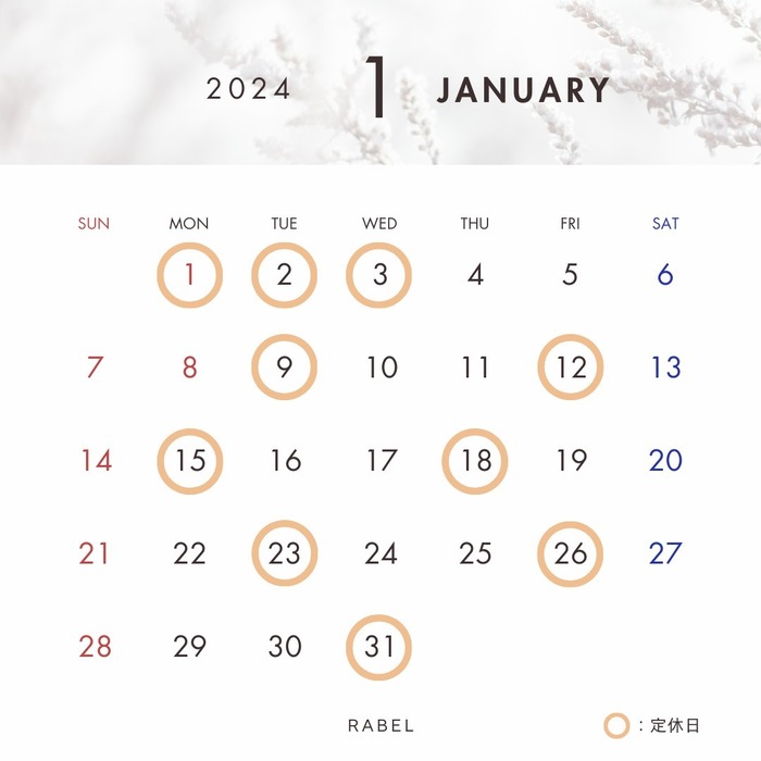 画像827