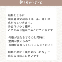 画像966